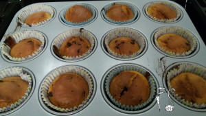 muffin con zucca e gocce di cioccolato