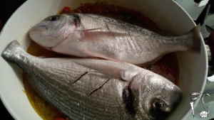 orata all'acqua pazza
