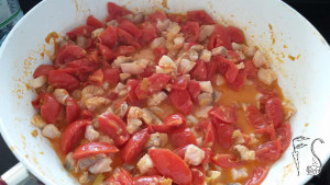 gnocchetti_ragu _gallinella3
