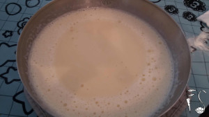 bavarese_al_limone10